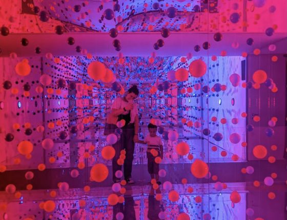 PHOTO SECURITE DEVENIR NANNIE